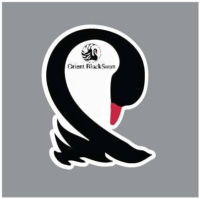 印度Orient BlackSwan定制60K黑天鹅u盘礼品